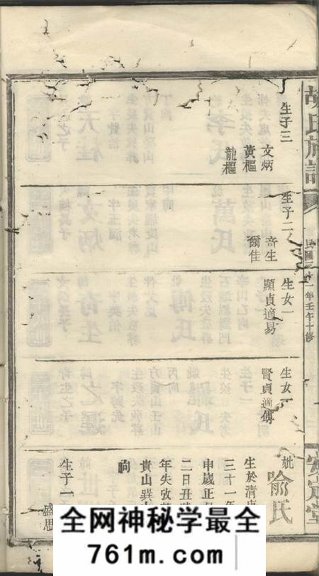 安定堂胡氏族谱