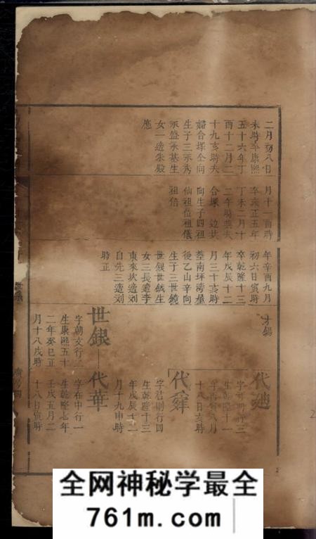 杨氏族谱不分卷