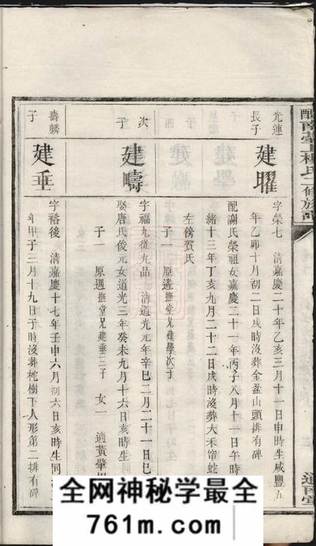 醴陵道南堂醴南台上杨氏二修族谱