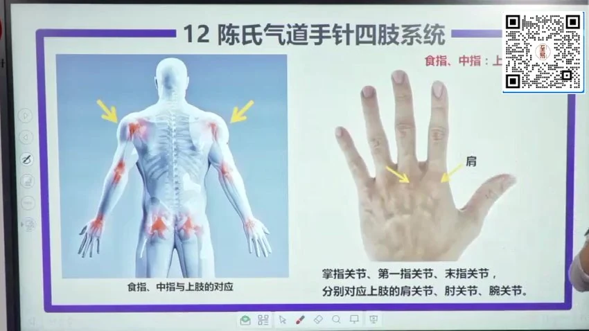 《陈氏气道针配套书籍系统课程》视频41集