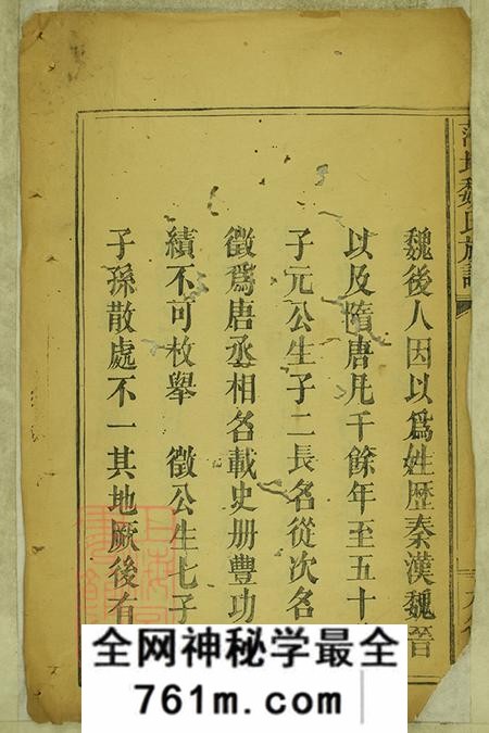 江西萍乡大名堂萍北魏氏族谱