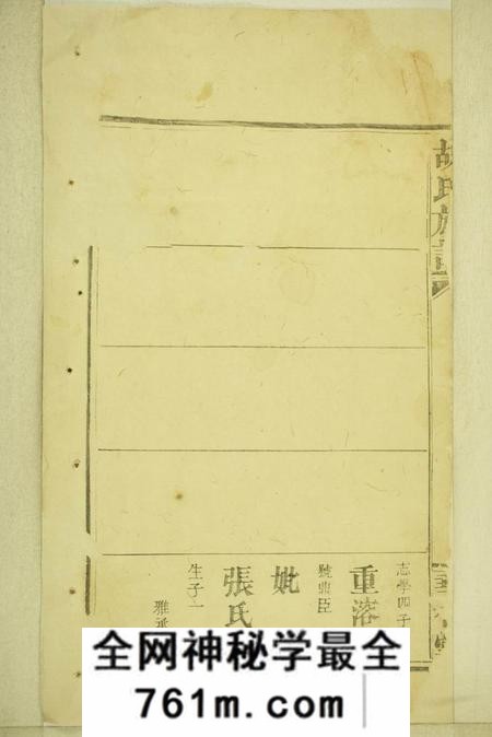 江西、湖南华林堂胡氏族谱不分卷