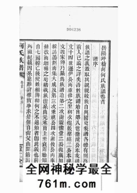 岳阳庐江堂岳阳坪桥河何氏族谱十卷