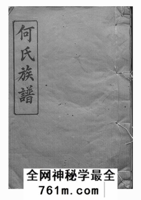 岳阳庐江堂岳阳坪桥河何氏族谱十卷