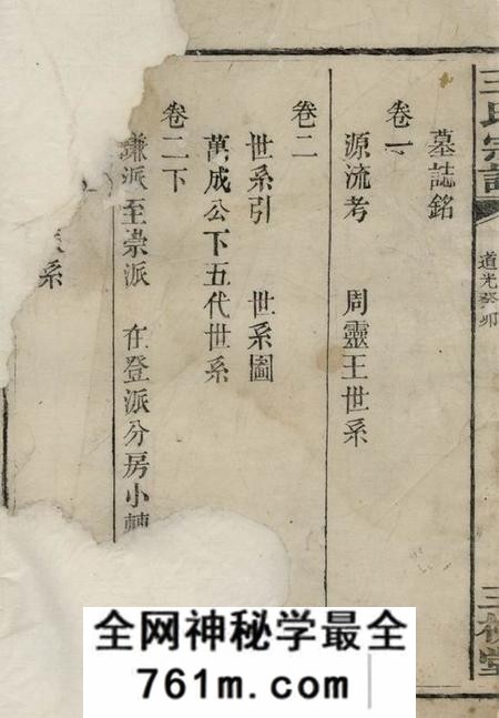 湘阴三槐堂王氏族谱