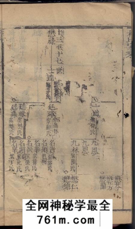 崇明杨氏家乘不分卷