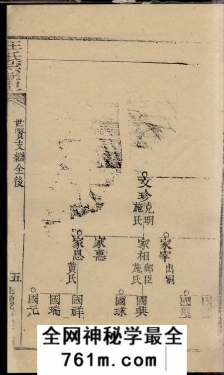 崇明王氏宗谱不分卷
