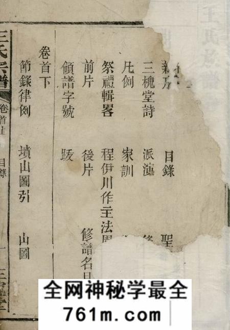 湘阴三槐堂王氏族谱