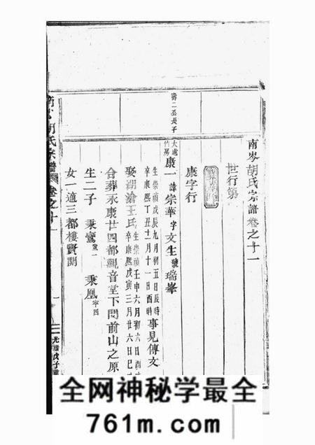 东阳南岑胡氏重修宗谱