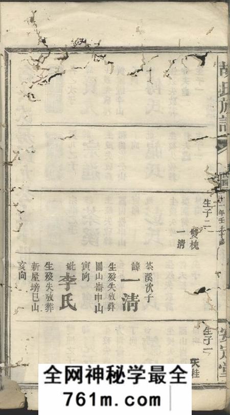 安定堂胡氏族谱