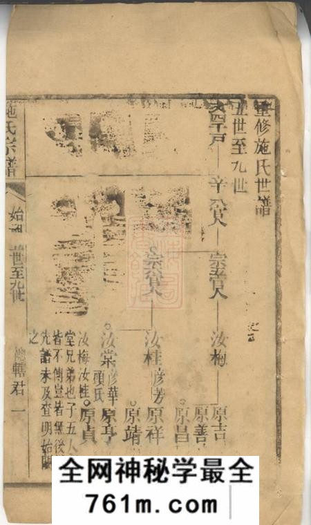 崇明豹隐堂施氏宗谱不分卷