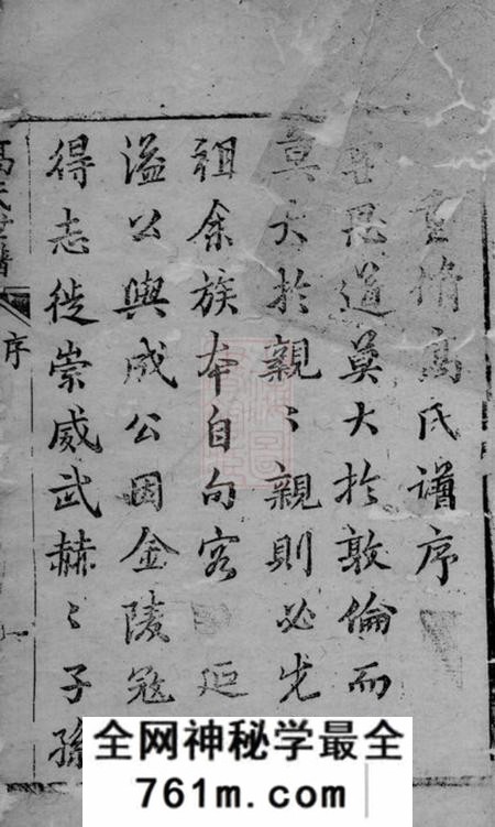 崇明高氏宗谱不分卷