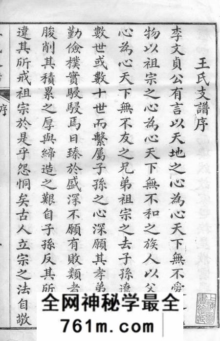 崇明王氏支谱不分卷