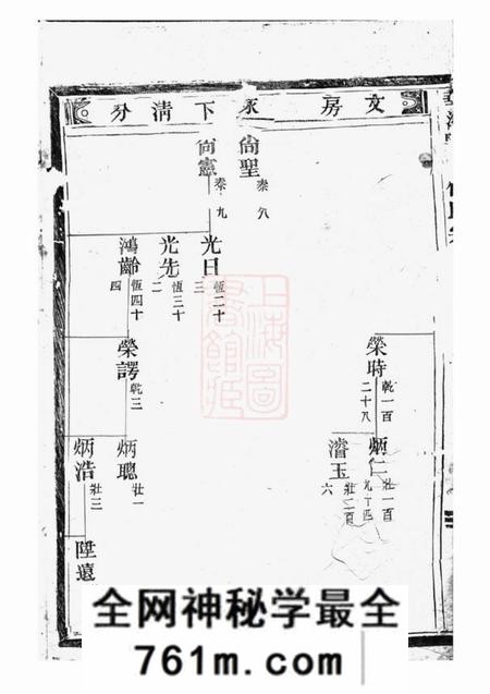 华溪华溪野竹杨氏宗谱