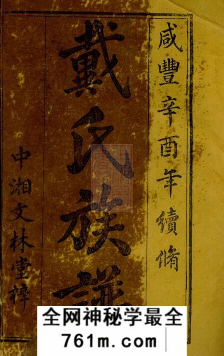 湘潭中湘文林堂鹤岭戴氏四修族谱四十卷