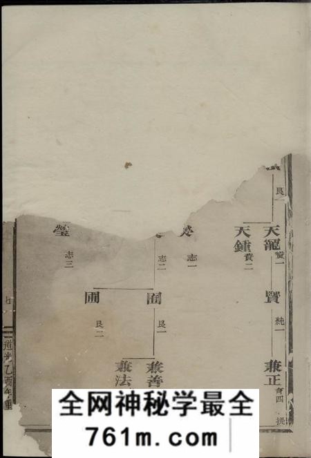 金华华峰施氏重修宗谱