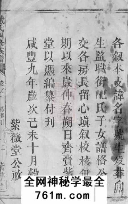 湘潭中湘文林堂鹤岭戴氏四修族谱四十卷