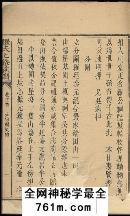 湖南罗氏七修族谱