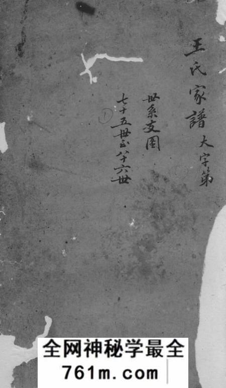 绍兴王氏族谱不分卷
