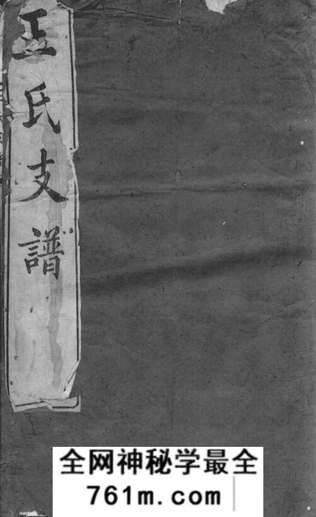 崇明王氏支谱不分卷