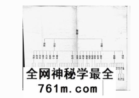 东莞王氏家谱不分卷