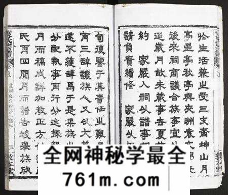 湖北袁氏族谱-袁氏宗谱.pdf电子版