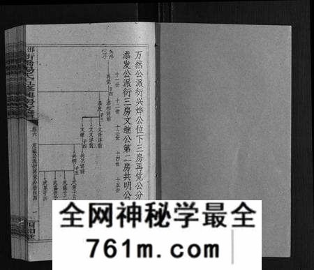 湖南杨氏族谱-新桥杨氏五修兴房支谱[16卷首末各1卷].pdf电子版