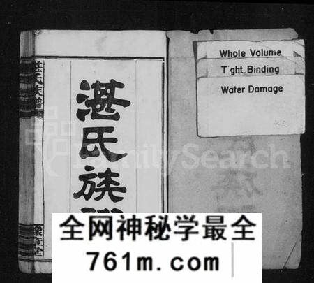 湖南湛氏族谱-湛氏族谱 [28卷,首6卷].pdf电子版