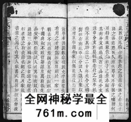 湖北王氏族谱-王氏宗谱[12卷](别名：Wong Shi Zong Pu).pdf电子版