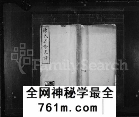 湖南陈氏族谱-陈氏支谱 [20卷,含卷末1卷].pdf电子版