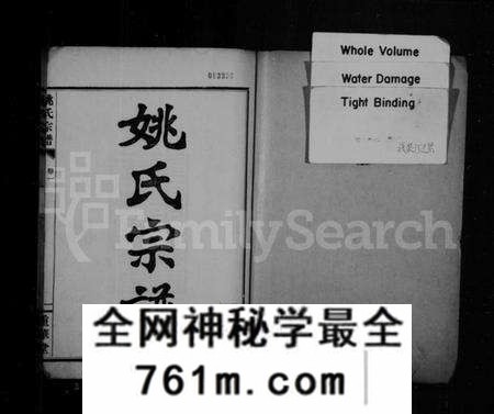 湖北姚氏族谱-姚氏宗谱 [正编12卷,首编8卷].pdf电子版