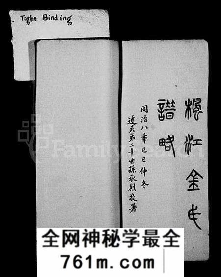 江苏金氏族谱-枫江金氏谱略 [卷数杂异](休宁金氏宗谱).pdf电子版