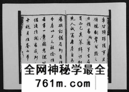 湖南戴氏族谱-鹤岭戴氏.pdf电子版