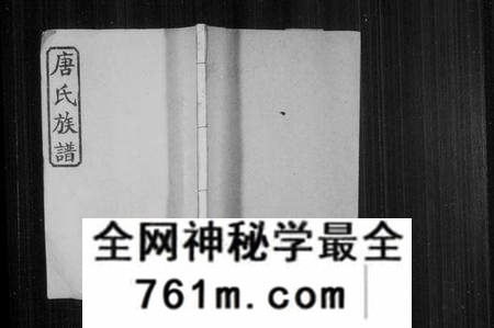 湖南唐氏族谱-唐氏族谱 [12卷,首末各1卷].pdf电子版