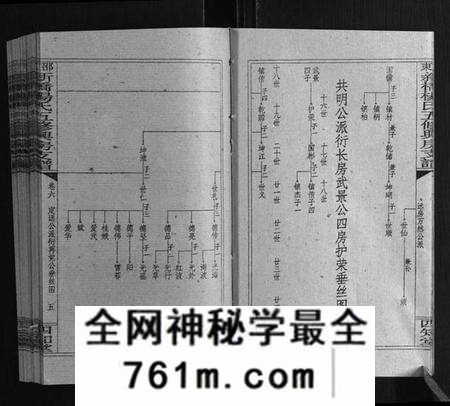 湖南杨氏族谱-新桥杨氏五修兴房支谱[16卷首末各1卷].pdf电子版