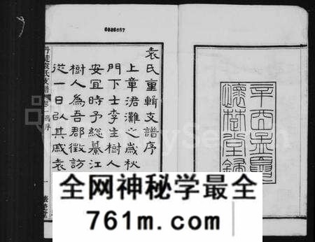 江苏袁氏族谱-丹徒袁氏支谱 [8卷](别名：袁氏支谱).pdf电子版