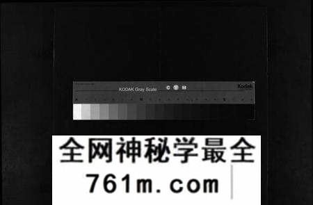 浙江陈氏族谱-西章陈氏宗谱 [残卷].pdf电子版