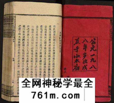 湖南王氏族谱-邵陵金田王氏四修族谱.pdf电子版