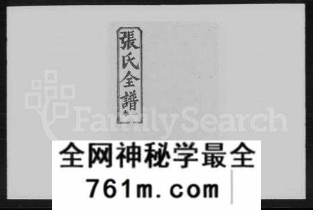 湖北张氏族谱-张氏全谱 [30卷].pdf电子版