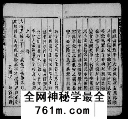 湖南袁氏族谱-桂阳袁氏族谱 [不分卷].pdf电子版