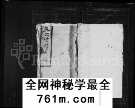 湖南王氏族谱-王氏家谱 [不分卷].pdf电子版