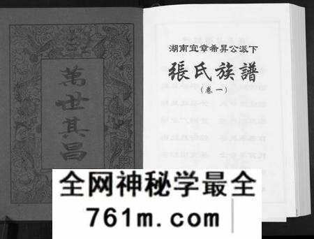 湖南张氏族谱-张氏族谱[10卷].pdf电子版
