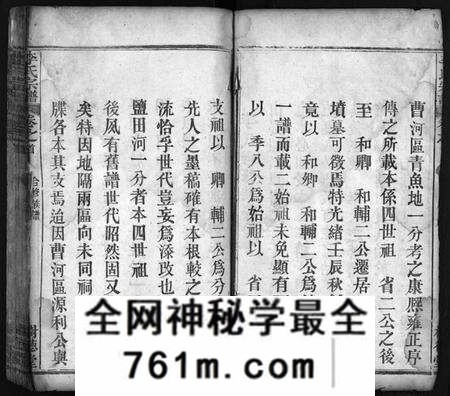 湖北李氏族谱-李氏宗谱[10卷,首1卷](别名：Li Shi Zong Pu).pdf电子版
