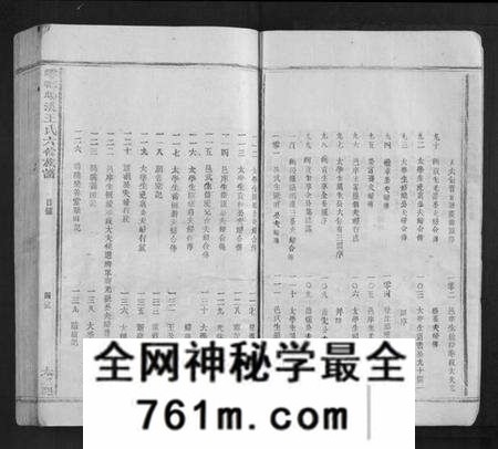 江西王氏族谱-雩都旸溪王氏六修族谱[不分卷].pdf电子版