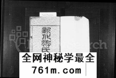 湖南游氏族谱-新化游氏族谱.pdf电子版