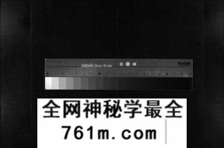 湖北吕氏杨氏陈氏族谱-吕杨陈氏宗谱 [10卷](别名：Lv Yang Chen Shì Zong Pu、吕杨陈氏宗谱).pdf电子版