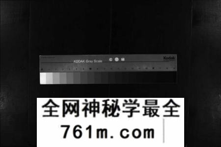 湖南贺氏族谱-贺氏族谱 [诚房25卷,信房9卷,祚房4卷,首6卷].pdf电子版