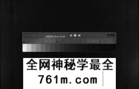 湖北陈氏族谱-义门陈氏宗谱 [27卷,首2卷](别名：Yi Men Chen Shi Zong Pu、义门陈氏宗谱).pdf电子版