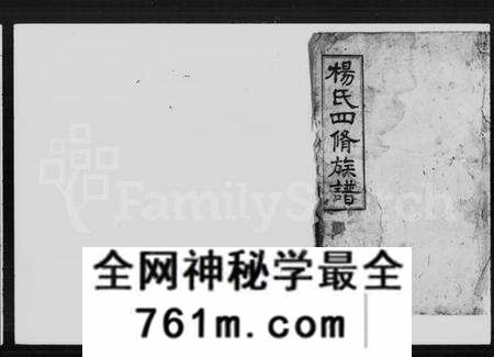 湖南杨氏族谱-杨氏四修族谱 [存37卷].pdf电子版