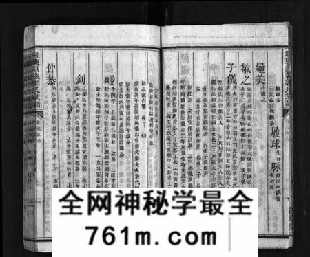 湖南郭氏族谱-桂东郭氏族谱[10卷].pdf电子版